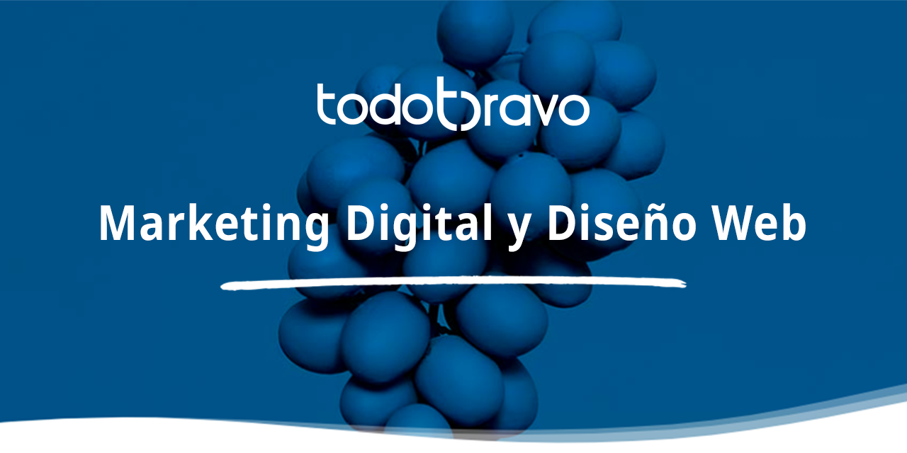 TodoBravo Marketing Digital & Web Design